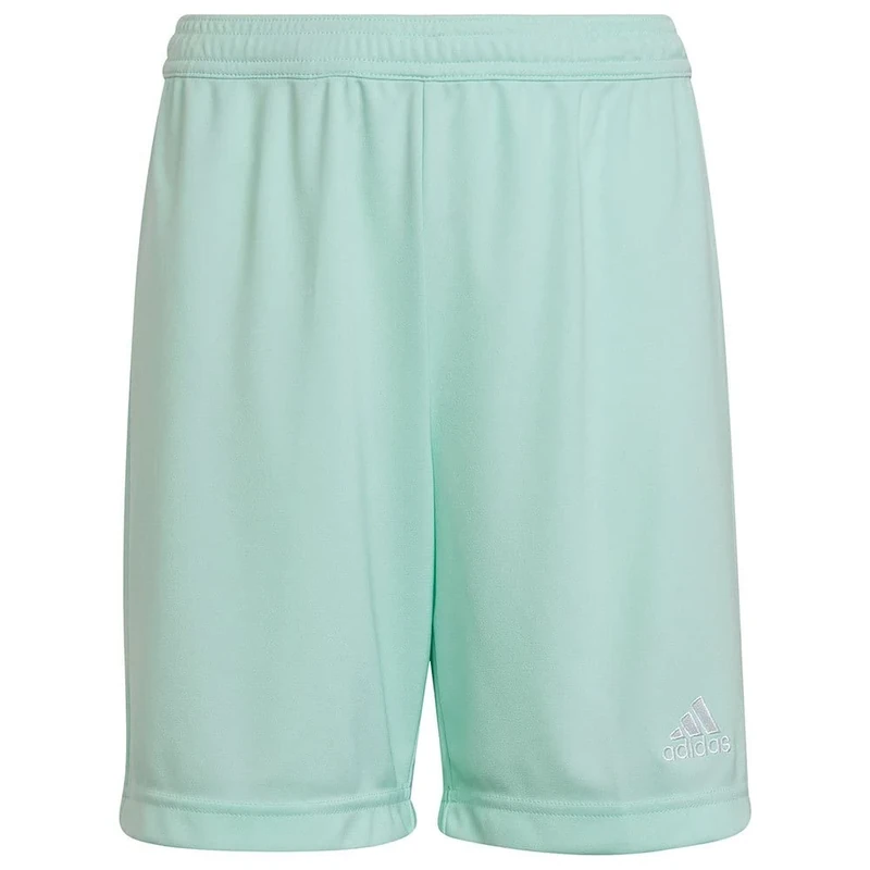 adidas Unisex Kids Entrada 22 Shorts, clear mint, 13-14 Years
