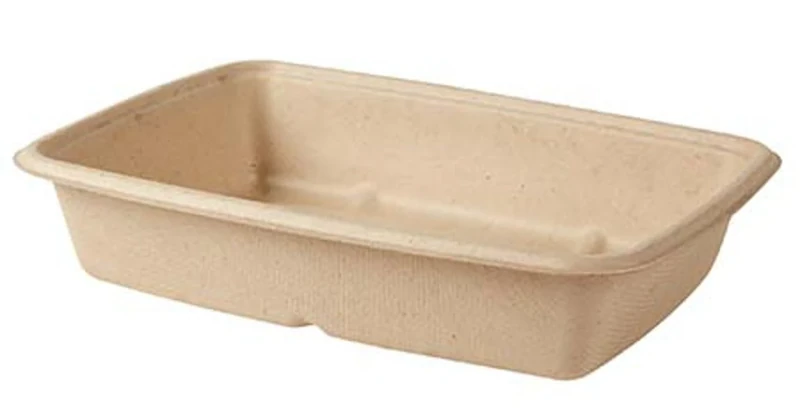 DAMPE SRL Rectangular TRAY Pulp CM.16X23H5 with Rectangular Lid Pet PZ.75