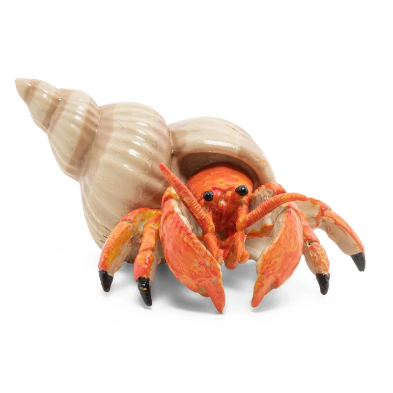 Papo - Hermit Crab Figurine - Marine Animal Toy for Kids Age 3+ - Hand Painted Sea Life Figure with Shell - Realistic Coastal Creature Toy - Ocean Animal Model - 6.1 x 4.4 x 2.8 cm - 56054