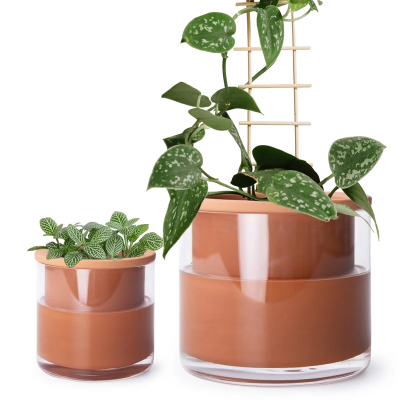 Phoenix Vine 4 Inch 6 Inch Self Watering Plants Pots, Design Terracotta Pots for Plants, Indoor Cylinder Terra Cotta Planter with Glass Vase Set, 51-A-G-46