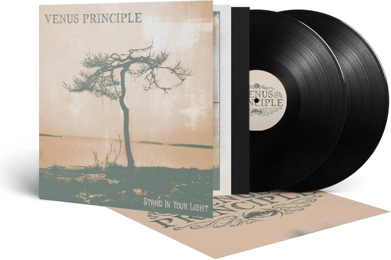 Stand In Your Light [VINYL]