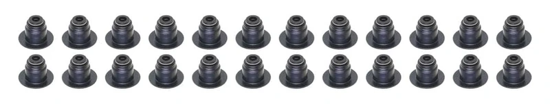 Seal Set, valve stem
