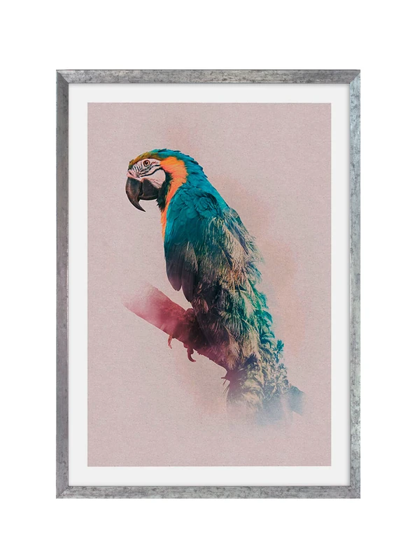 Komar Wooden Picture Frame Stone Silver with Art Poster Animals Paradise Parrot as a Set - Size: 50 x 70 cm - Wall Picture, Decoration, Parrot, Bird