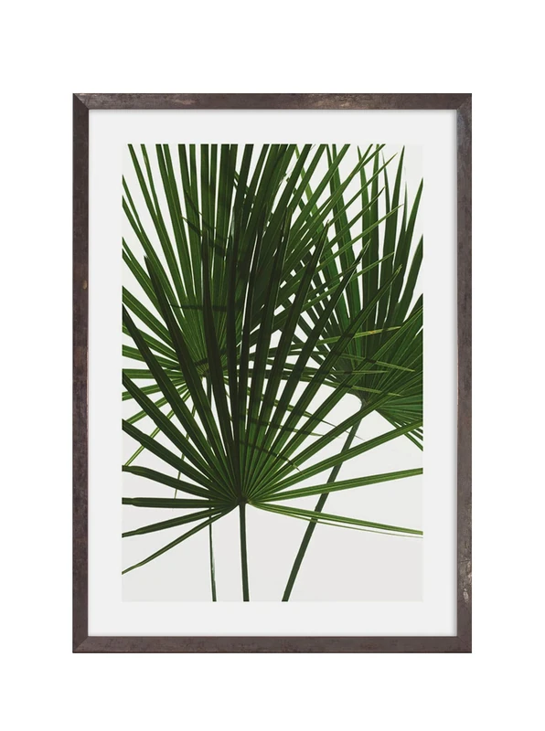 Komar Wooden Picture Frame Stone Grey with Art Poster Palmtree Leaves as Set – Size: 50 x 70 cm – Wall Picture, Decoration, Palm Tree, Leaves - Image 1