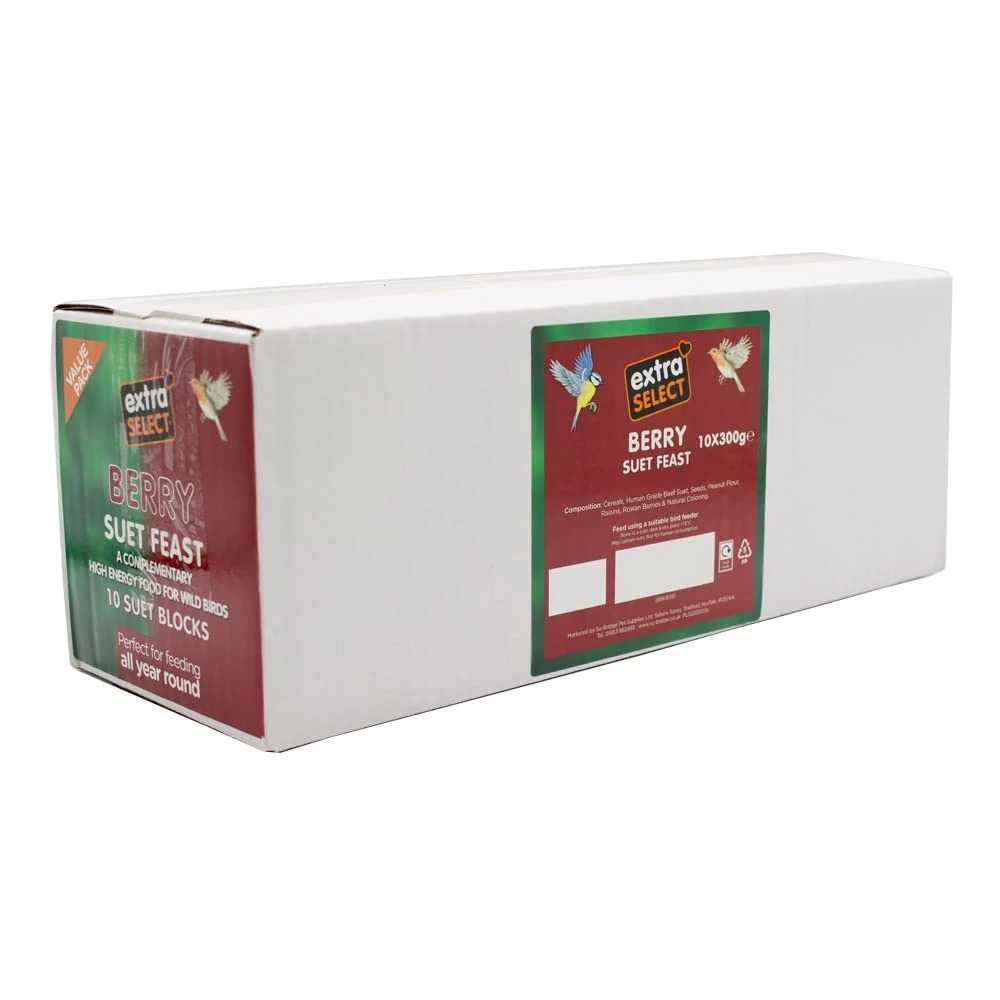 Extra Select Wild Bird High Energy Berry Suet Blocks 10x300gm