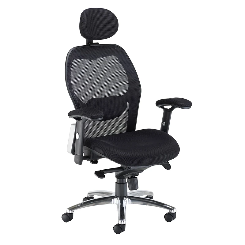 Office Mesh Back Desk Chair With Adjustable Lumbar Support and 2D Adjustable Arms