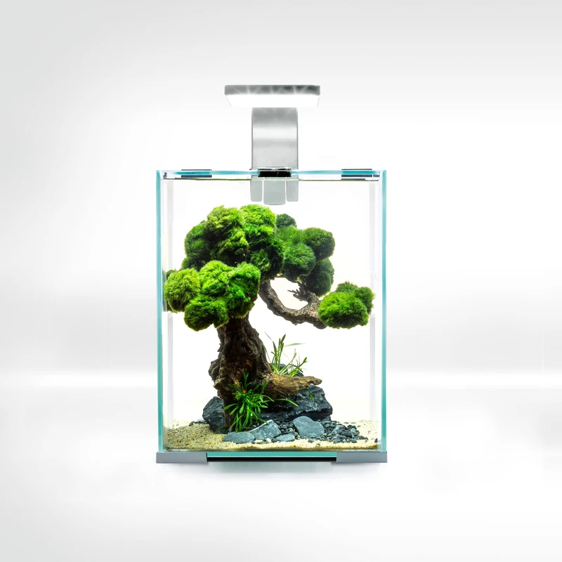 Shrimp Set Smart D&N 10 White ECOM