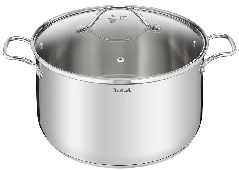 Tefal Intuition XL B8646904 Large Stainless Steel Cooking Pot 30 cm / 10 L, Induction, 5 Year Warranty, Premium 18/10 Stainless Steel, Size XL, Sturdy Handles, Glass Lid