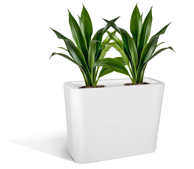 Kloris Pot Holder, Plastic Polyethylene PE, White, h 70