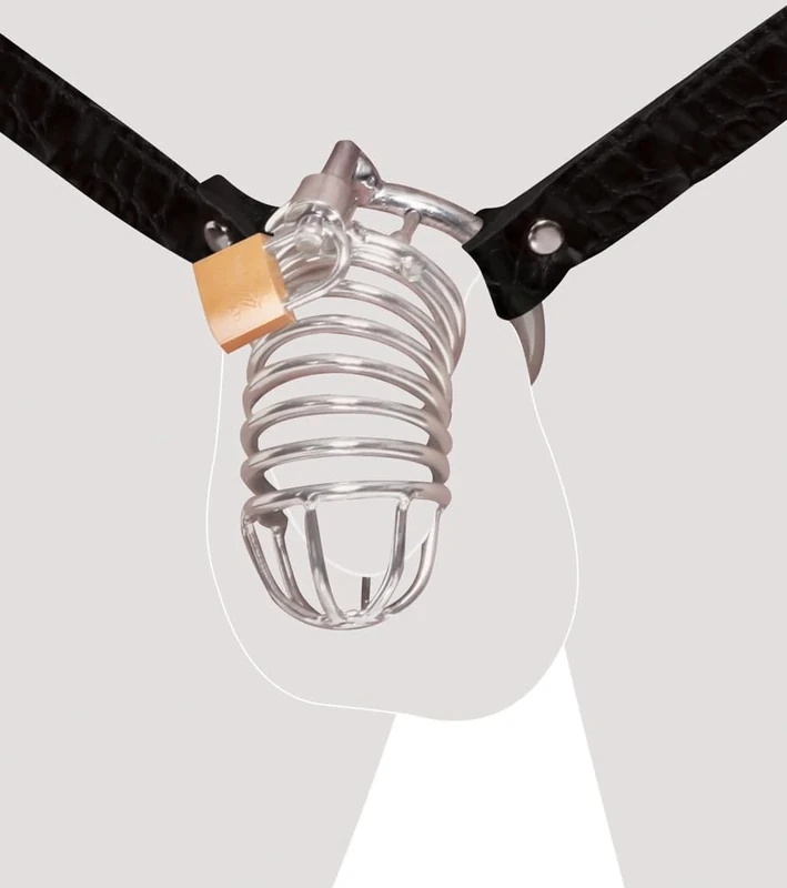 Fetish Fantasy Extreme Extreme Chastity Penis Cage Silber One Size