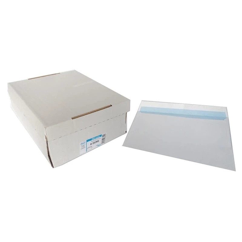 C/250 Envelopes 100g White 250x355 C/Strip