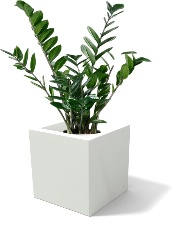 Kloris Plant Pot, Plastic Polyethylene (PE) Resin, White, 45x45