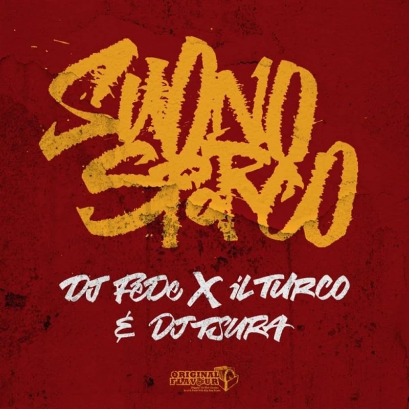 Suono Sporco/Metaforico Malinconico [VINYL]