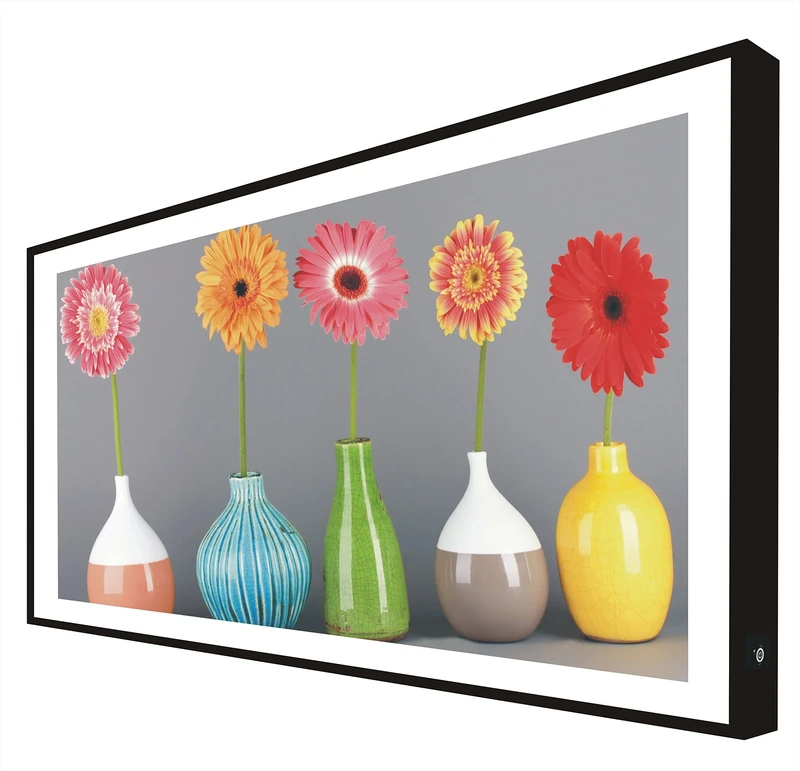 Picture with Black Lacquered Wood Frame Illuminated with LED Flowers: African Daisies