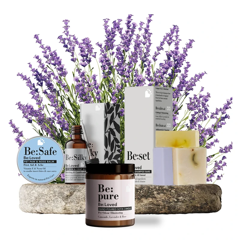 Be:Loved - Gift Bundle for Pets & Owners - Natural Pet Pampering Set with Healing Balm, Shampoo Bars, Scented Candle & Coat Oil - Handmade in the UK for Dogs - Set of 6