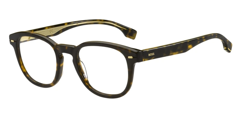 BOSS Men's 1384 Sunglasses, HAVANA, 49 - Image 1