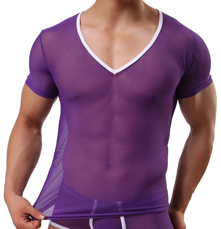 Drelaar Men's Sexy V-Neck Soft Mesh Undershirt Short Sleeve Silky T-Shirt Large Purple