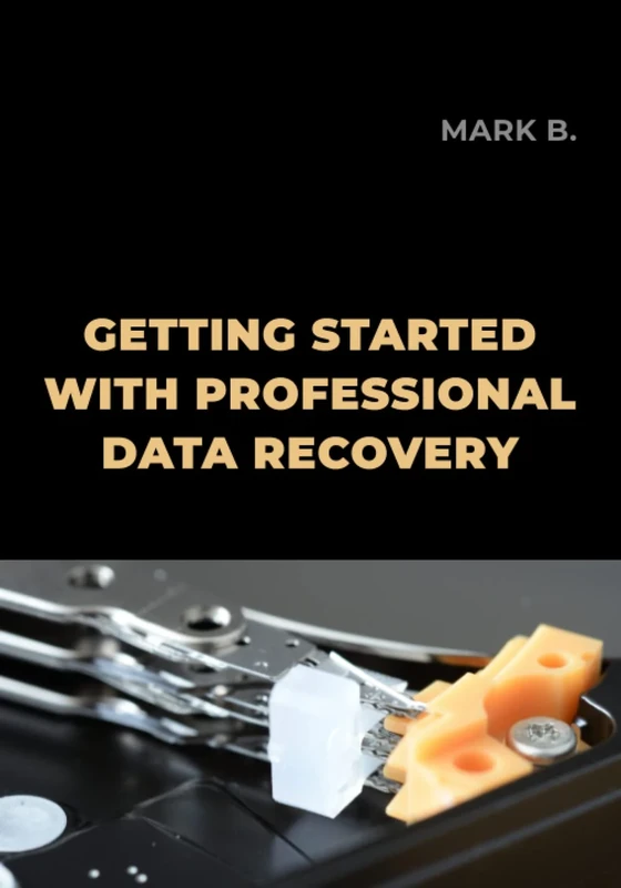 Getting started with professional data recovery - Image 1