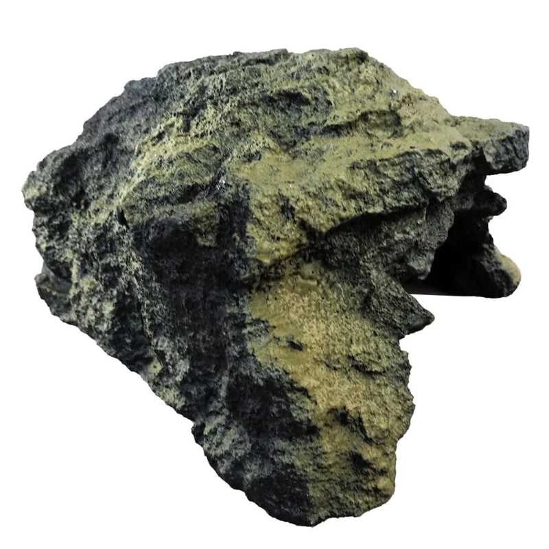 Reptiles-Planet Waitomo Cave Hideaway Medium