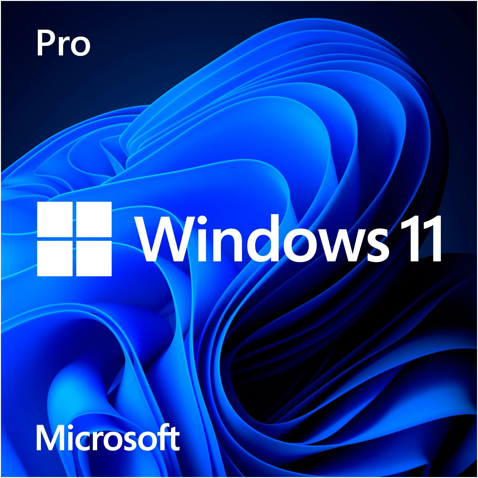Microsoft Windows 11 Pro
