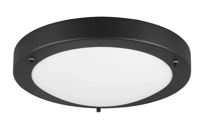 Trio Leuchten Condus 6801011-32 Bathroom Ceiling Light Metal Black/Opal Matte White Glass / 1x E27 Bulb Not Included