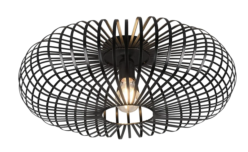 Trio Leuchten Johann 606905032 Ceiling Light Metal Black Matt Bulb 1x E27