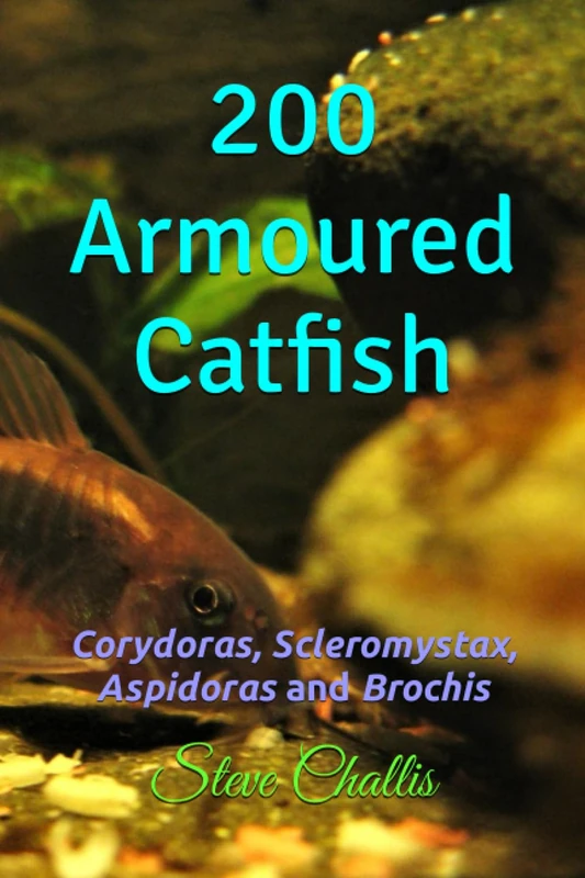 200 Armoured Catfish: Corydoras, Scleromystax, Aspidoras and Brochis
