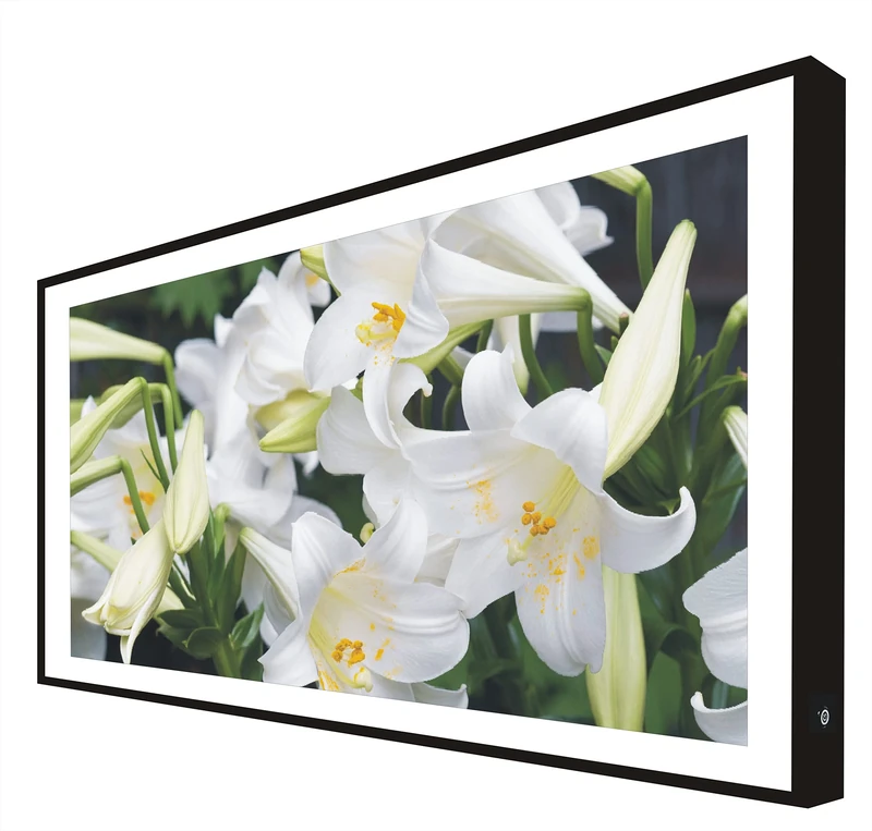 Black Lacquered Wood Frame Frame Backlit Flowers: Lily