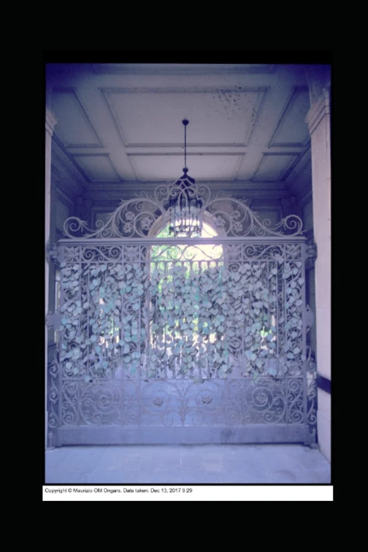 Enciclopedia Illustrata del Liberty a Milano, via Calatafimi e dintorni ex Fiera di Senigallia: (Volume Unico)