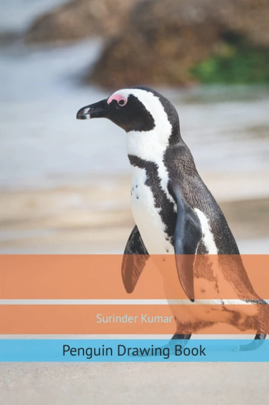 Penguin Drawing Book