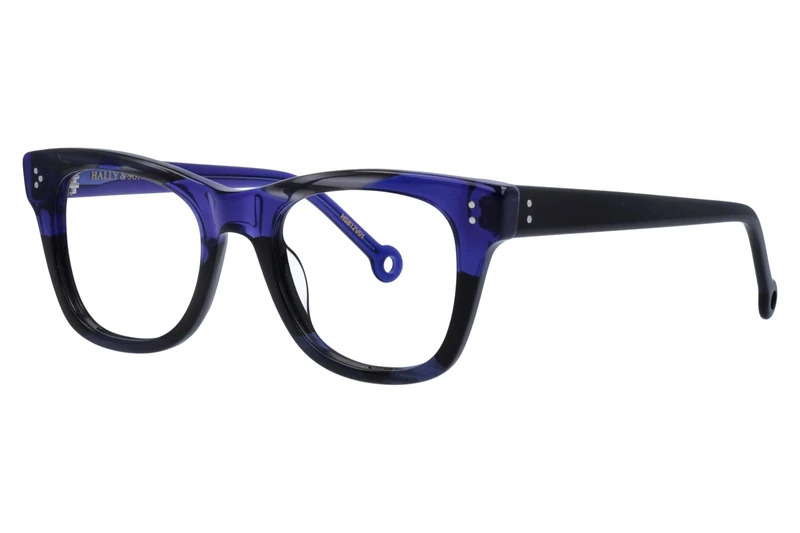 Hally & Son Unisex KIT OPTICAL-SUN HS812V 50 20 145 Sunglasses, black-multicolor, 50