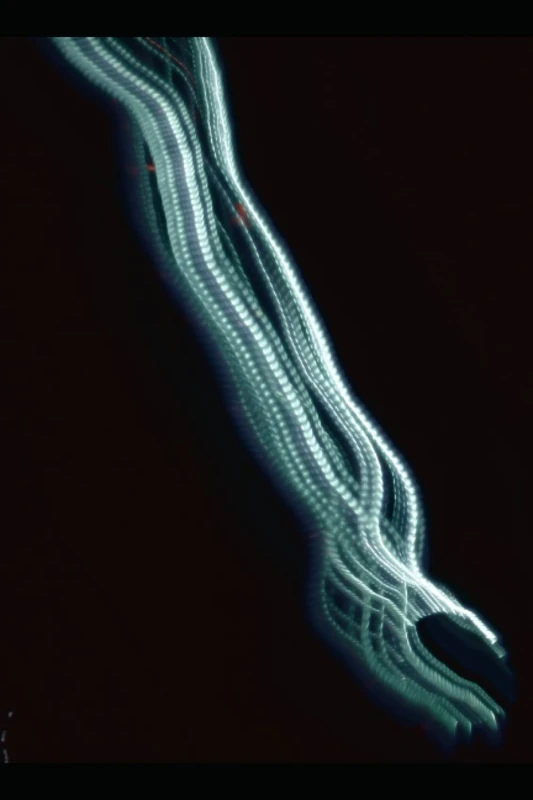 365 Excuses To Live Better: One affirmation at the time