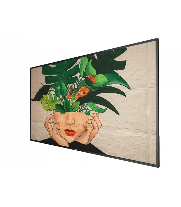 Philips D-Line 55BDL4511D/00