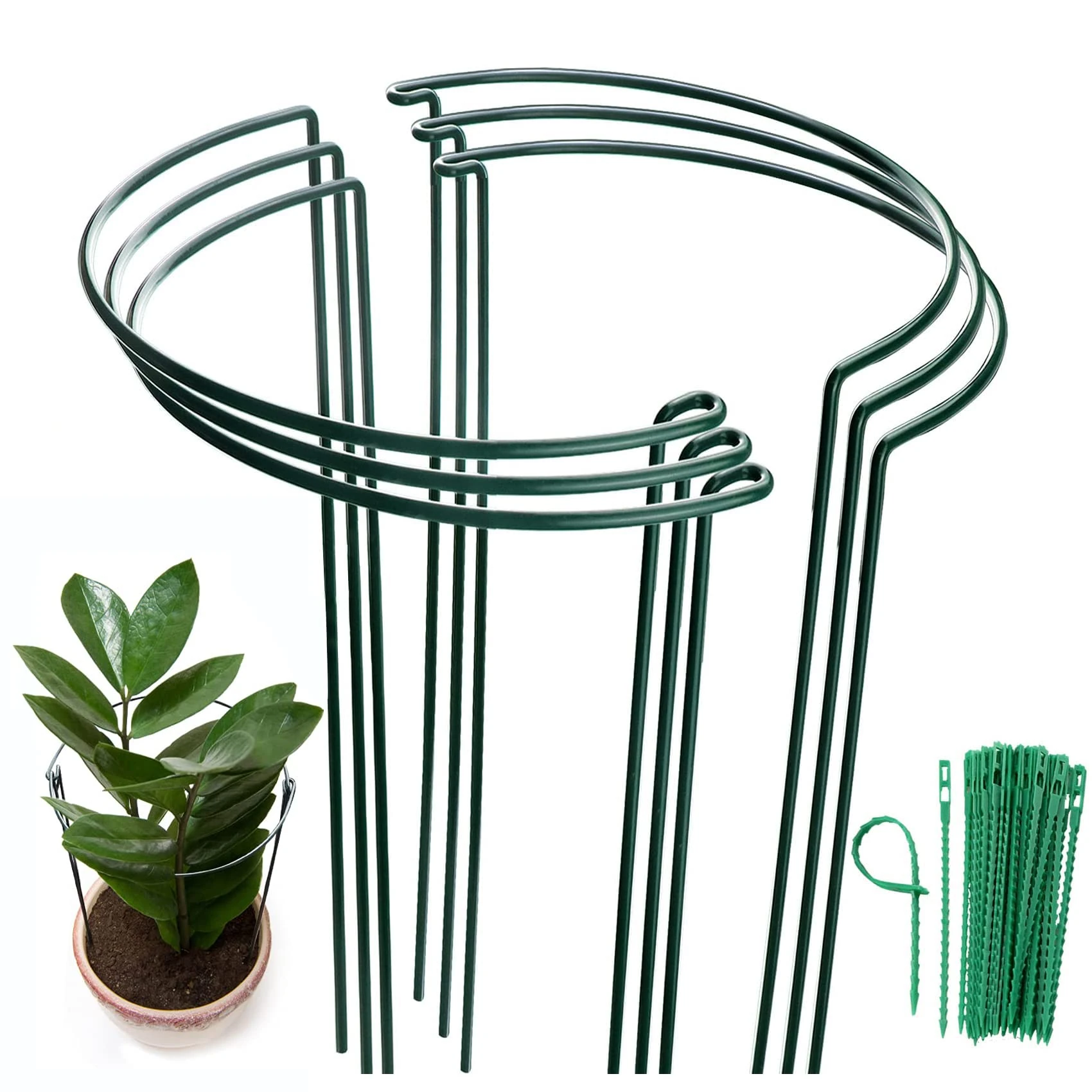 MUAEEOK 6 Pack 30x50cm Plant Support Stakes, Metal Garden Plant Stake, Outdoor Tall Plant Support Ring Cage,Large Plant Supports for Tomato,Vegetable, Rose,Flowers Vine (30x50cm)