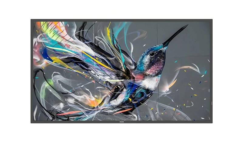 Philips Monitor 65 Q-Line Series