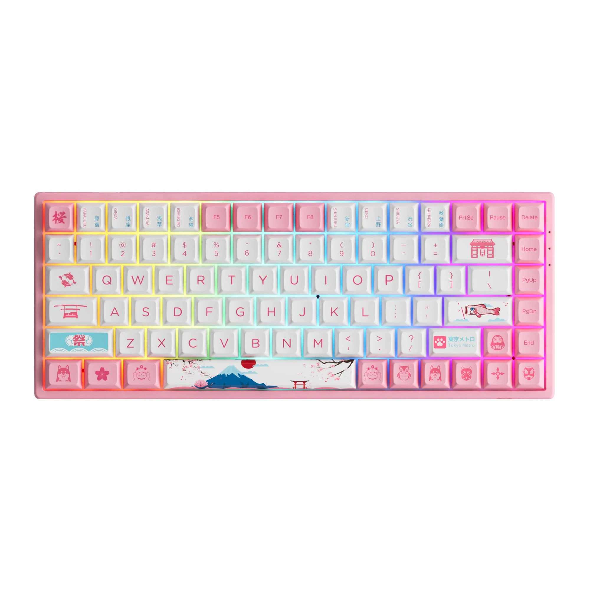 Akko 3084B Plus RGB Mechanical Gaming Keyboard, Multi Modes (BT5.0/2.4Ghz/Type C) Wireless Keyboard with 5 Pin Hot Swap, PBT Dye-Sub OSA Keycaps, Programmable Macros (Tokyo, Linear Switch)