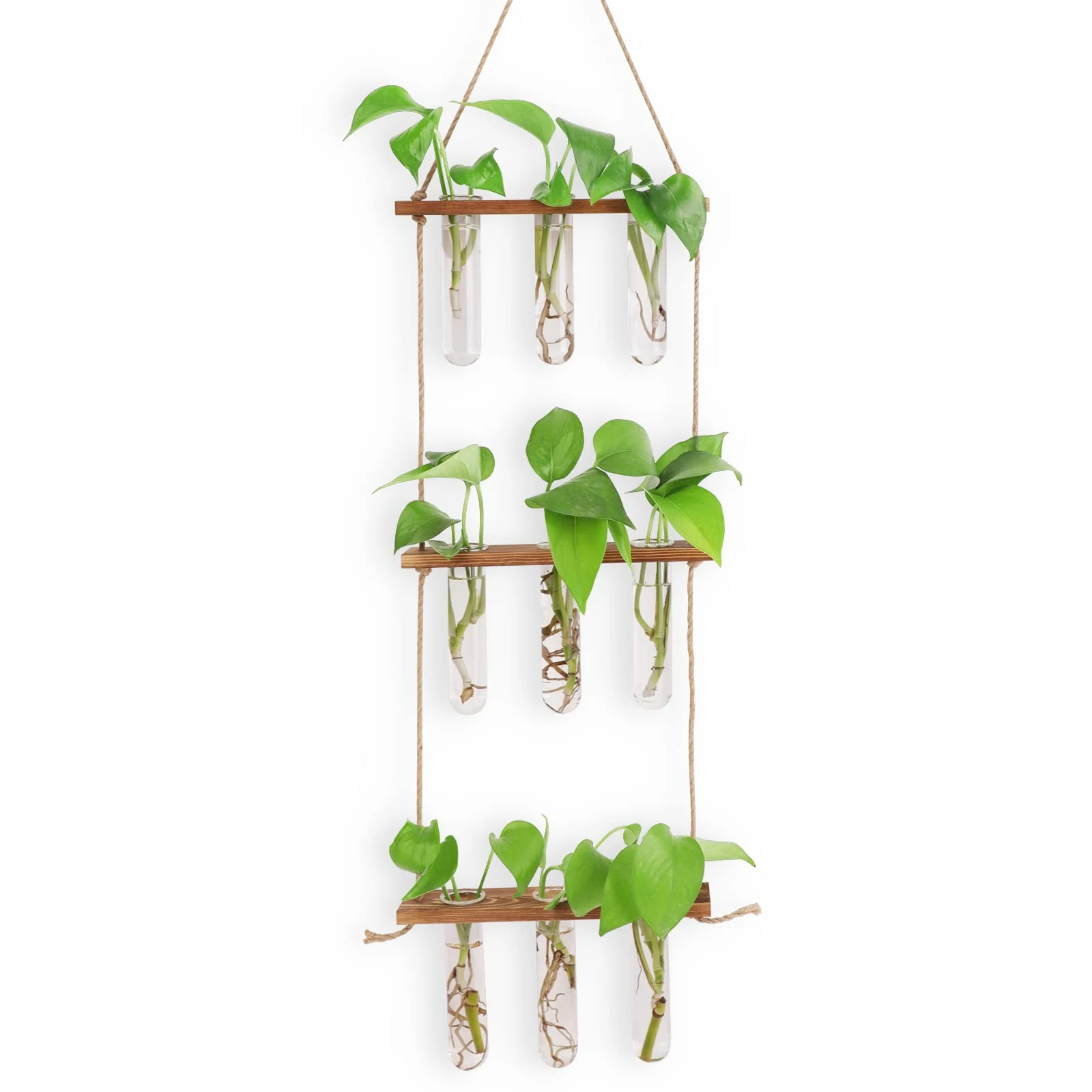 CRITIVE-S Wall Terrarium Propagation Station for hydroponic plants-3 Tier hanging test tube vase with 9 Test Tubes 2 non-marking nails(Dark Wood color)