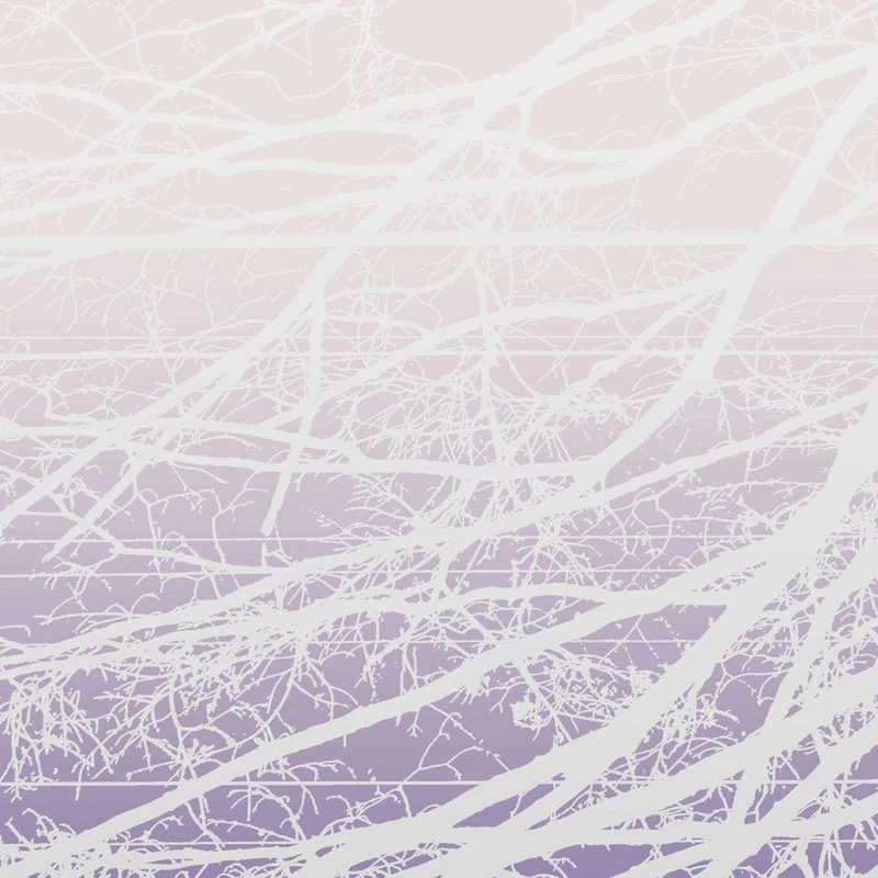 Metal Aether / Resonant Field [VINYL]