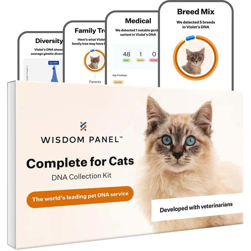 Wisdom Panel Complete: Comprehensive Cat DNA Test for 45 Health Genetic Health Conditions | 70+ Breeds and populations | 25+ Traits | Blood Type - Image 1
