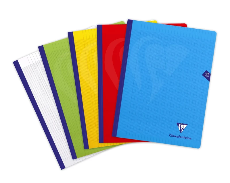 Clairefontaine 309341C A Set of 5 Mimesys Thread Sewn Notebooks - 24x32 cm - 192 Seyes Ruled Pages - White Paper 90 g - Polypro Cover Random Colours