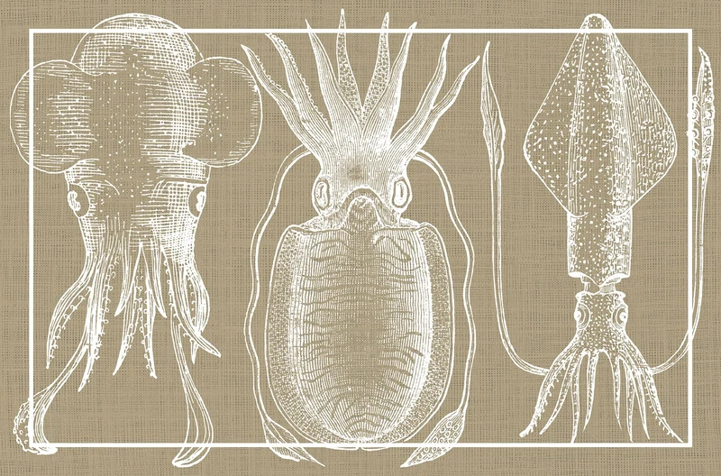 Viniliko Vinyl Carpet - Squid Cuttlefish Design