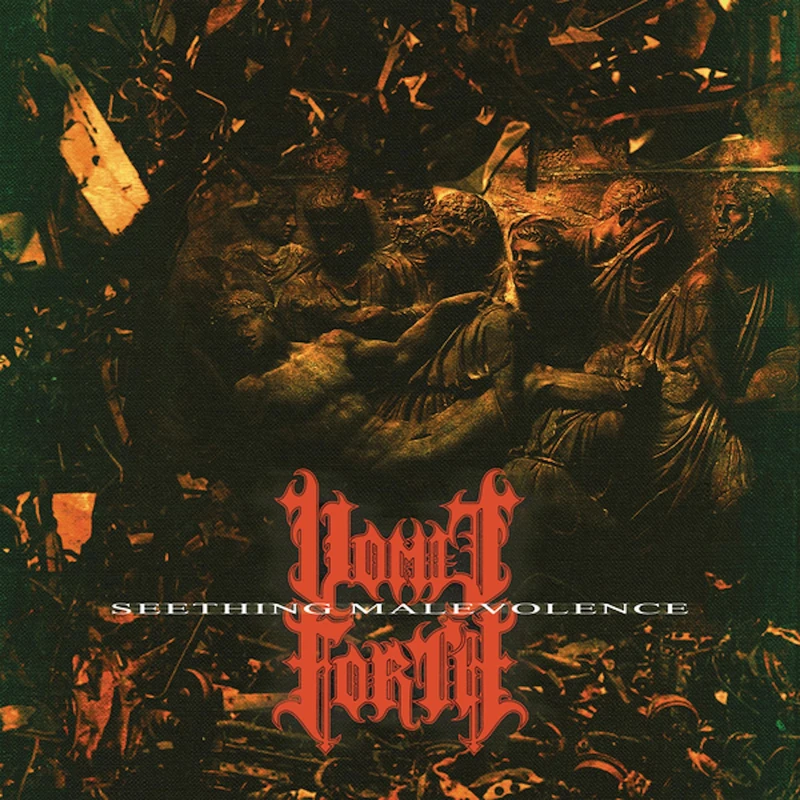 Seething Malevolence [VINYL] [Vinyl LP]