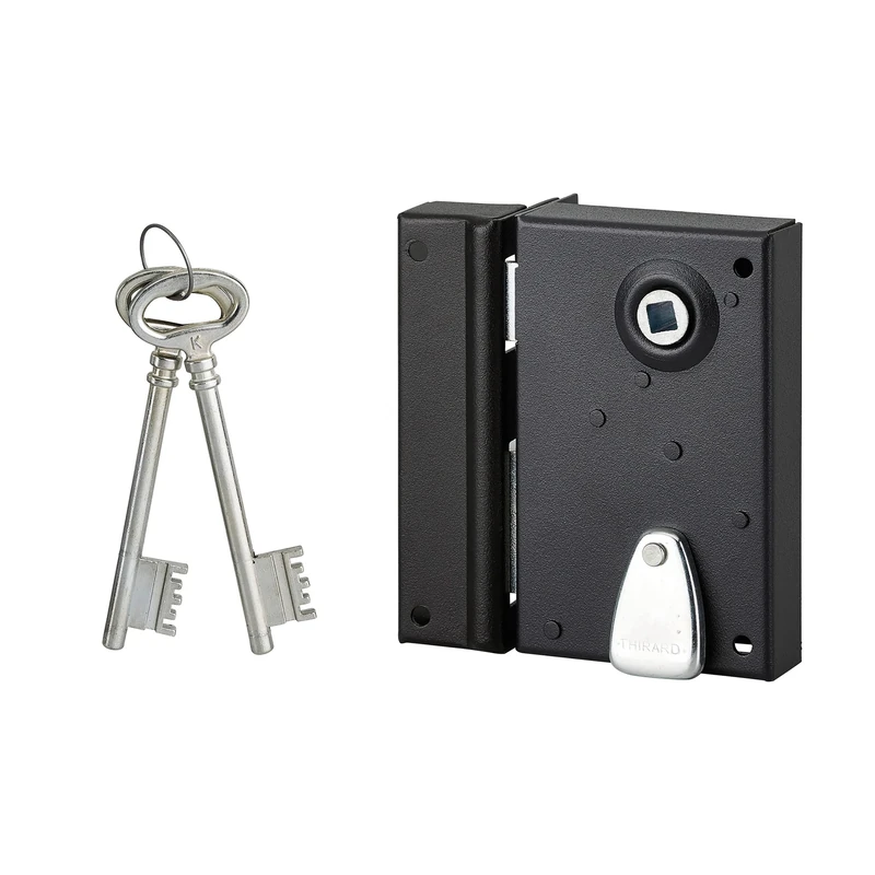 THIRARD FABRICANT DE SECURITE DEPUIS 1920 Thirard 00900143 70 x 110 mm Combined Steel Case and Strike-Left Wedge Version-Applique Locks-Vertical Wall Light, Black