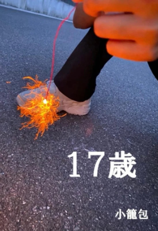 17歳