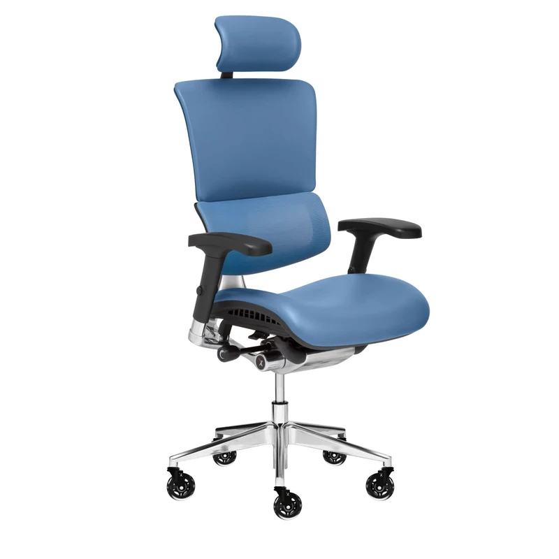 X-Chair X-Tech Executive Chair, Modern Design, Cooling Gel M-Foam Seat, Dynamic Variable Lumbar Support, Brisa & A.T.R. Fabric, Reef