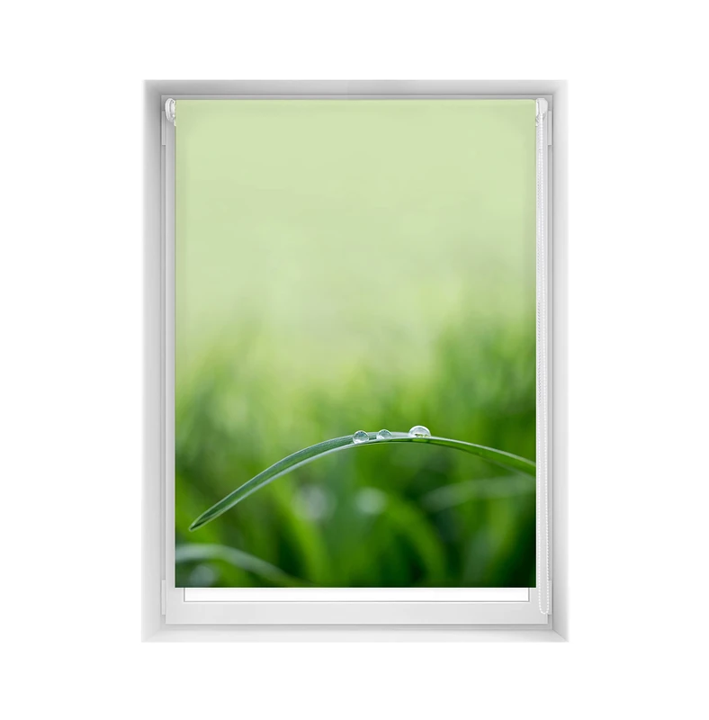Blindecor Easy Venetian Blind, No Drilling Required, Printed, Translucent, Digital Print, Quietud, 110 x 150 cm (width x height), Fabric Dimensions 107 x 145 cm - Image 1