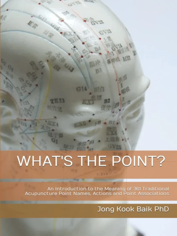 WHAT'S THE POINT?: An Introduction to the Meaning of 361 Traditional Acupuncture Point Names, Actions and Point Associations