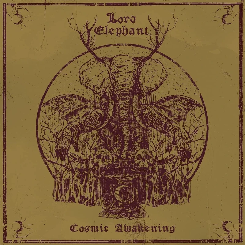 Cosmic Awakening (Gold/Red) [VINYL]