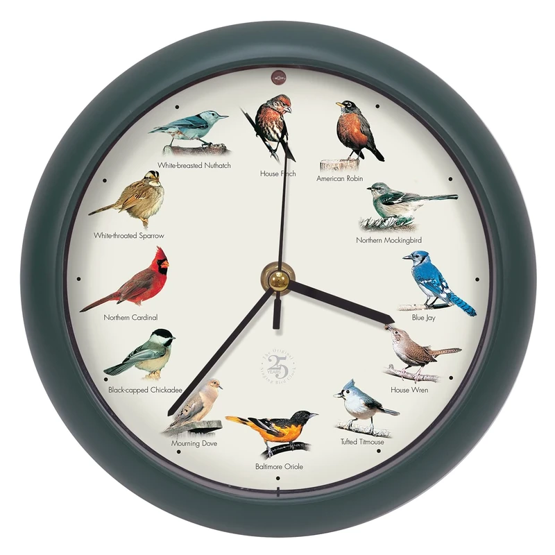 Mark Feldstein The Original Singing Bird Clock 25th Anniversary Edition (8 Inch, Green)