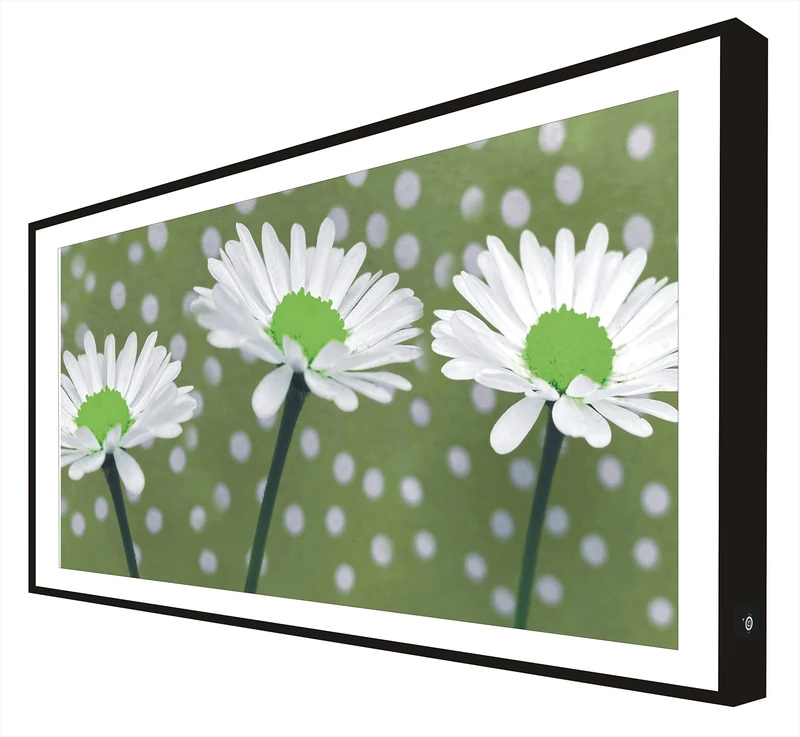 CCRETROILUMINADOS Picture with Black Lacquered Wood Frame Illuminated with Light White Flowers Leds